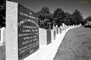 titanic cemetery-bw